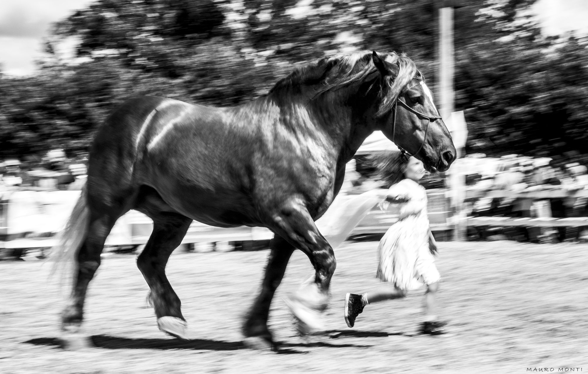 Amatrice a Cavallo - (c) Photo Mauro Monti