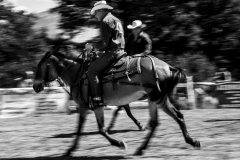 Amatrice a Cavallo - (c) Photo Mauro Monti