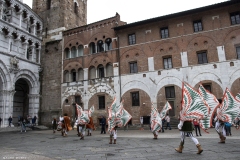lucca5s