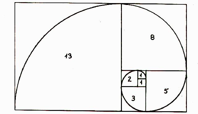 spirale di fibonacci