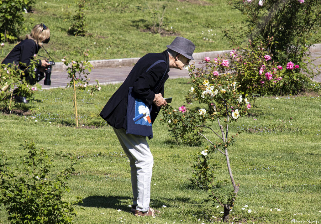 Roseto comunale di Roma - (c) Mauro Monti